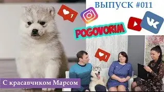 Выпуск шоу Поговорим №011