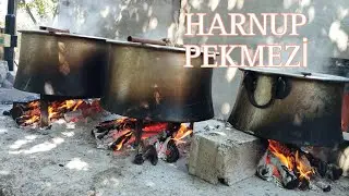 Keçiboynuzu pekmezi nasıl yapılır / Harnup pekmezi