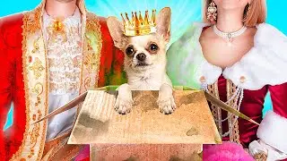 Armer Hund Wurde von der Königlichen Familie Adoptiert