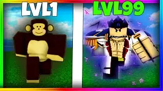 NOOB To PRO IN ONE VIDEO (Blox Fruits ) in Hindi