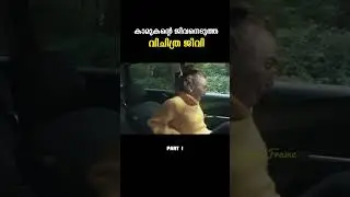 ഭീകര ജീവി അവളെ പിടിക്കുമോ? #everyframe #shortsfeed #movierecap #malayalam