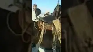 Как я попал в плен 