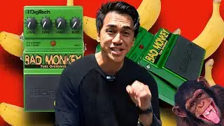 Digitech Bad Monkey ? Good Monkey ?