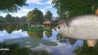 Русская Рыбалка 4 ► Тарань - р.Северский Донец