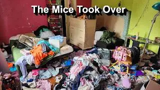 Cleaning a house that was so infested with mice, it was uninhabitable