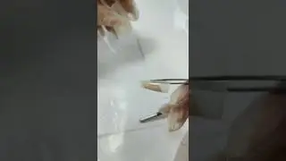 #накладныеногти #украшенияручнойработы