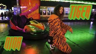 NINA - TIGER