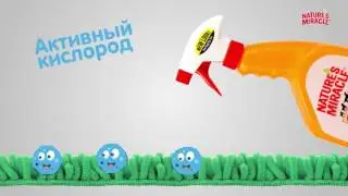 Какое средство Nature's Miracle лучше выбрать?