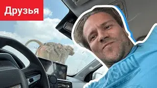 Друзья