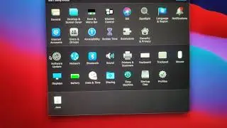 MacBook has microphone icon with wake up or sleep below it. It's accessibility Voice Control setting