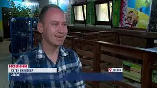 Як наш Зоопарк підготувався до холодів та можливих блекаутів