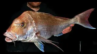 The perfect fishing boat.