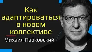 Михаил Лабковский Как адаптироваться в новом коллективе на работе