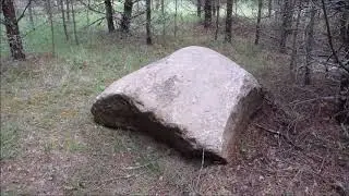 Охота на маслята
