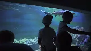 Tierpark Hellabrunn - Sehenswürdigkeiten in München