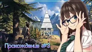 Играем в PINE | 