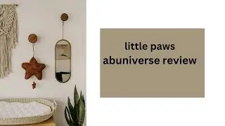 Little paws abuniverse diaper review