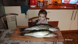Судаки