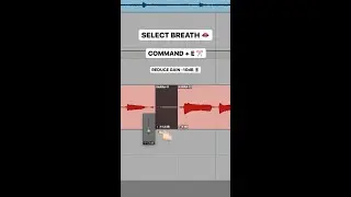🚿 How to clean up vocals in Pro Tools 📷 Reid Stefan