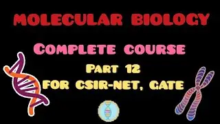 mRNA PROCESSING  | CSIR NET | GATE | IIT JAM | DBT | NEET | ICMR | MSC | B.SC