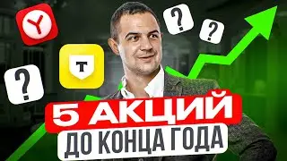 ТОП-5 акций для покупки до конца 2024 года. Какие акции покупать сейчас?