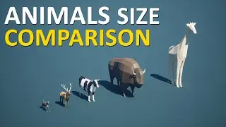 Animal Size Comparison | 3d Animation Comparison | Part 2