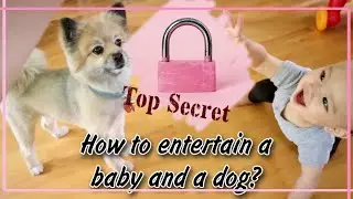 BABY AND THE DOG SISTER, POMERANIAN DOG