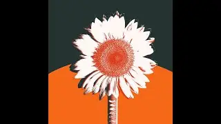 Instrumental Hip-Hop 