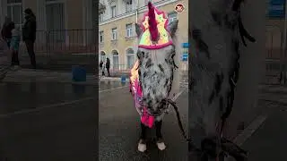 А пони тоже кони. Облака, белогривые лошадки / СербаТВ 🔴 