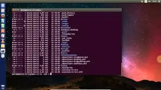 Ligne de commandes Linux - partie 2 - Commandes de base