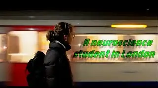 hyper-realistic days in the life of a student