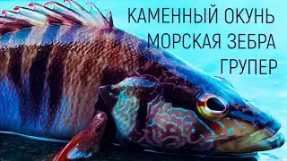 Разворошил КУКУШКИНО ГНЕЗДО !  Были частые и очень жадные поклевки !!! Рыбалка на Черном море.