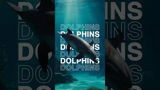 Why Dolphin Swims in front of Ship? #shorts