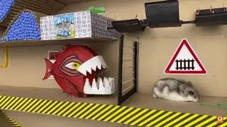 🐹ПИРАНЬЯ и Хомяк в Лабиринте с Ловушками😱