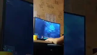 Лучшие моменты трансляции 