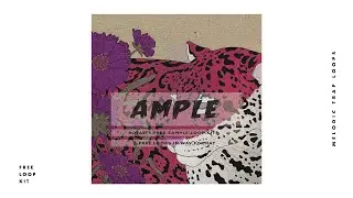 [FREE] Melodic Trap Loop Kit Sample Pack - 'AMPLE' | Royalty Free Loops (Cxdy Type Samples)