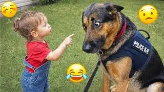 Try Not To Laugh 🤣 Most Watched Funny Dog Videos Compilation 🐶 #41