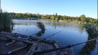 Запекаю карасей на углях, мой первый раз. Опять поймал черепаху...