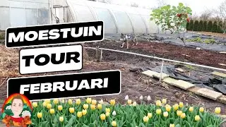 Moestuin Tour in Februari | Moestuin vlog 163 | De moestuin in februari
