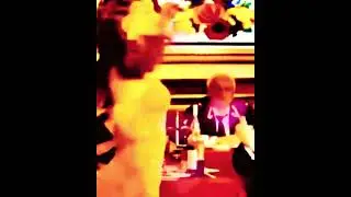 🔥А в ресторане, а в ресторане🔥- Лариса Долина