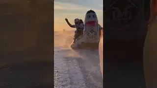 Пингвин на льду Тольятти! 