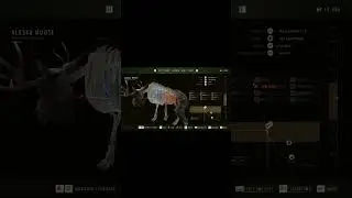 500 METER KILL ALASKA MOOSE! Way of the Hunter 