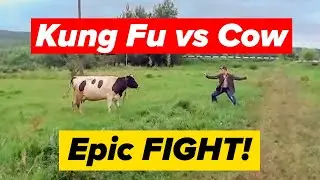 Master Kung-Fu vs. Cow: Epic Showdown!