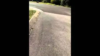 My walk to Taco Bell - Krueger