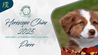 Perro en el 2025: Estabilidad y Crecimiento en el Año de la Serpiente 🐕✨