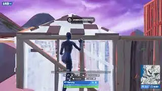 are this players teaming? fortnite solo arena