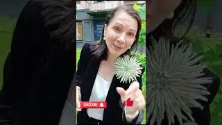 ФЭНШУЙ ДЛЯ БИЗНЕСА #фэншуй #удача #астрология #успешныйбизнес #денежноеместо