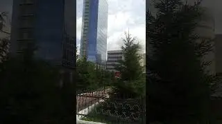ездили  отдыхать.