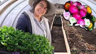 A Grey To Green Farm Transformation!
