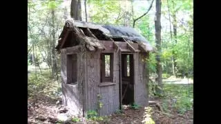 Jungle Habitat Adventure!